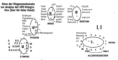 Diagnoseschemata 