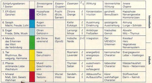 Tabelle