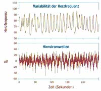 Kopf-Herz-Harmonie