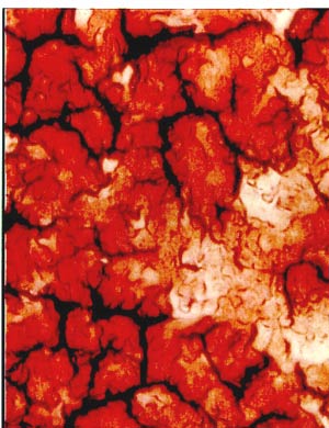 Blut gesünder