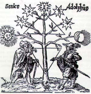 The “philosophers” tree 