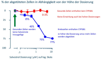 Neue Hilfe bei Krebs: Salvestrole