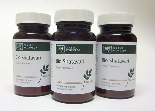 Shatvari:
Vitalität und Verjüngung für die Frau